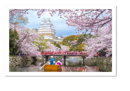 GD38_WebBanner_1920x500_V1-8